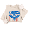 America Eagle Crewneck (2 Colors) - 4557