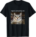 Rage is Consuming Me Silly Staring Cat Meme T-Shirt
