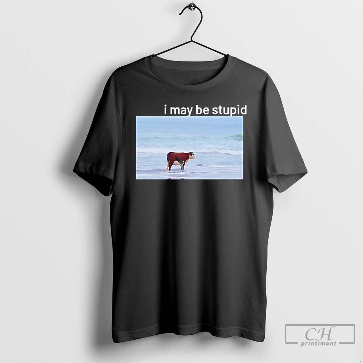 Classic I May Be Stupid Cow On Beach Meme