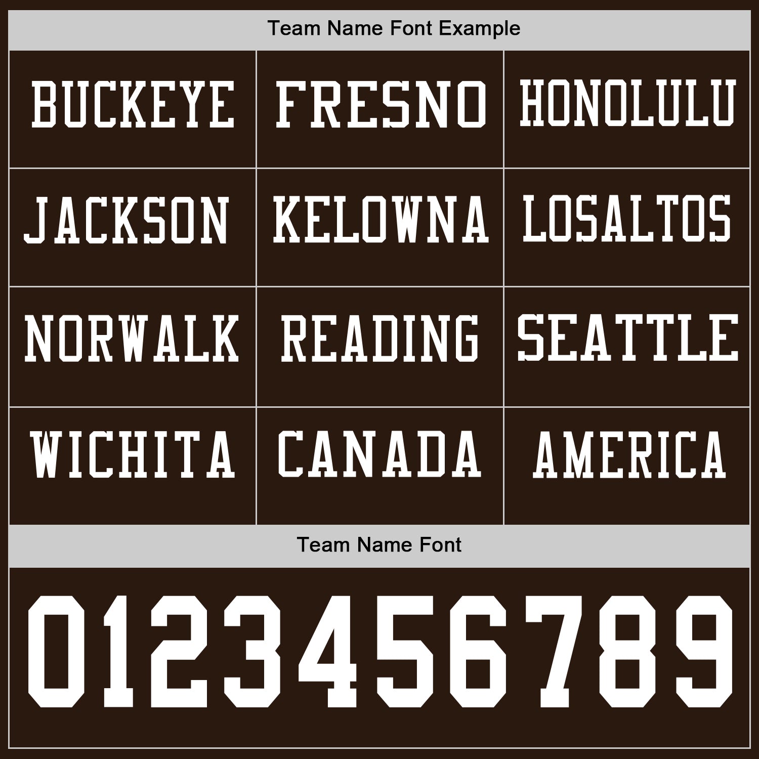 Custom Brwon White Long Sleeve Authentic Football Jersey