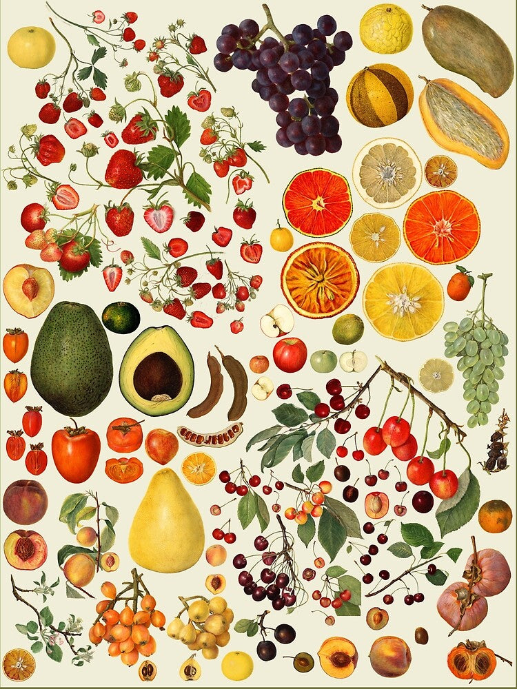 Vintage Watercolor Fruit Collection Art by Amanda Almira Newton by TuncGK