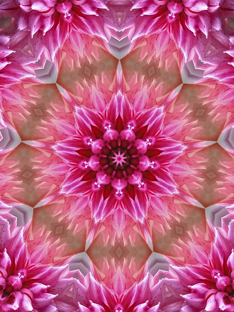Shimmerflower: A Fairycore Floral Mandala by Lainey1978