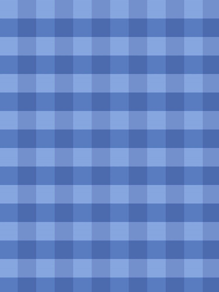 Classic Light Blue Gingham Pattern by sharamvatani