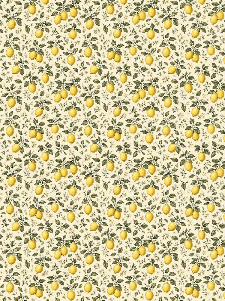 endless vintage lemons by crealook01