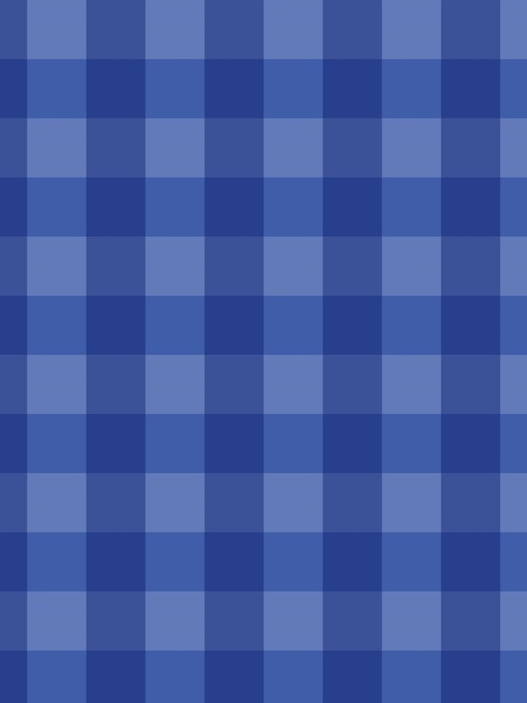 Classic Blue Gingham Pattern by sharamvatani