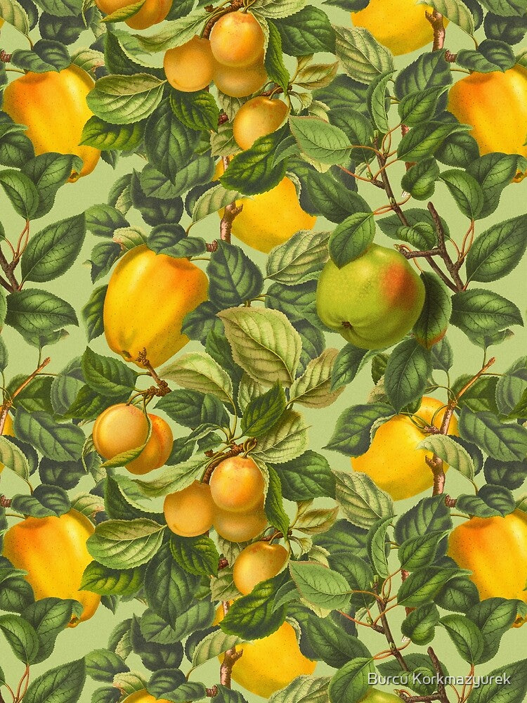 Fruit Garden by Burcu Korkmazyurek
