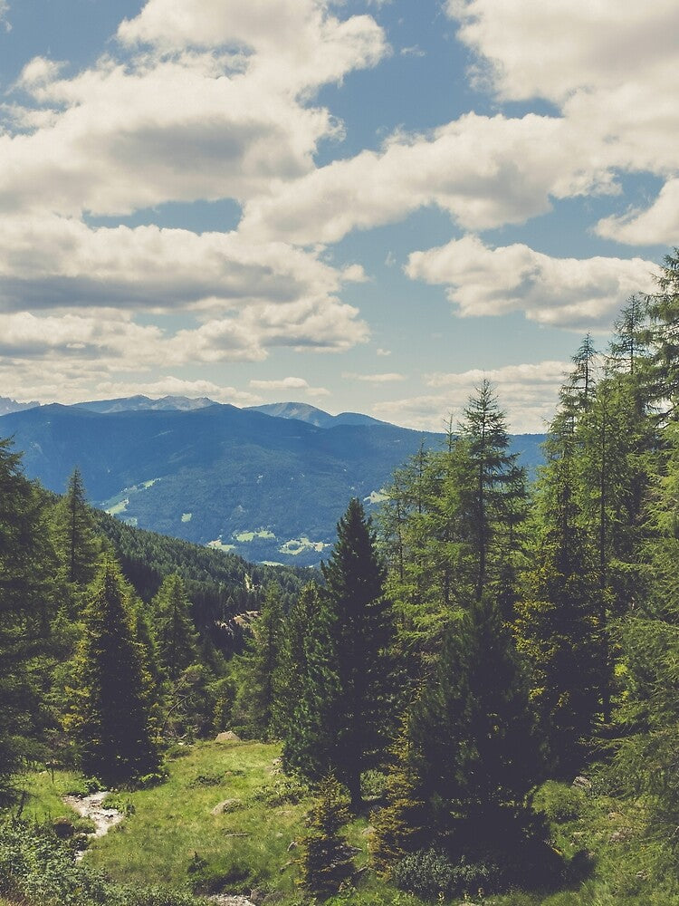Tree Covered Mountainside by Taceo10
