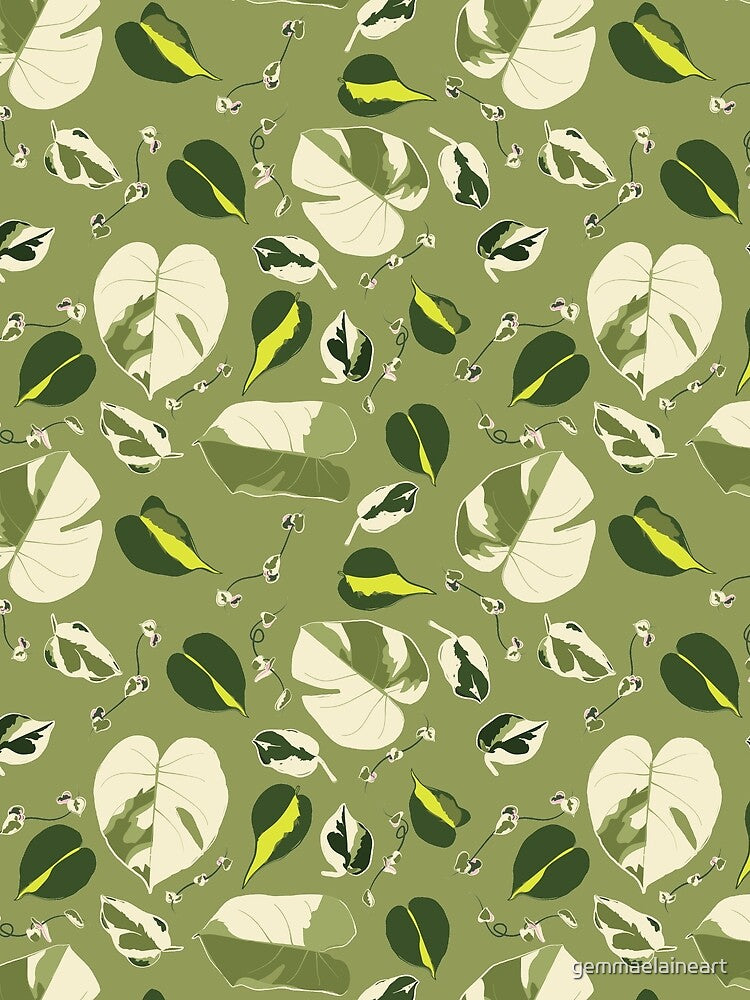 Variegated Houseplants by gemmaelaineart