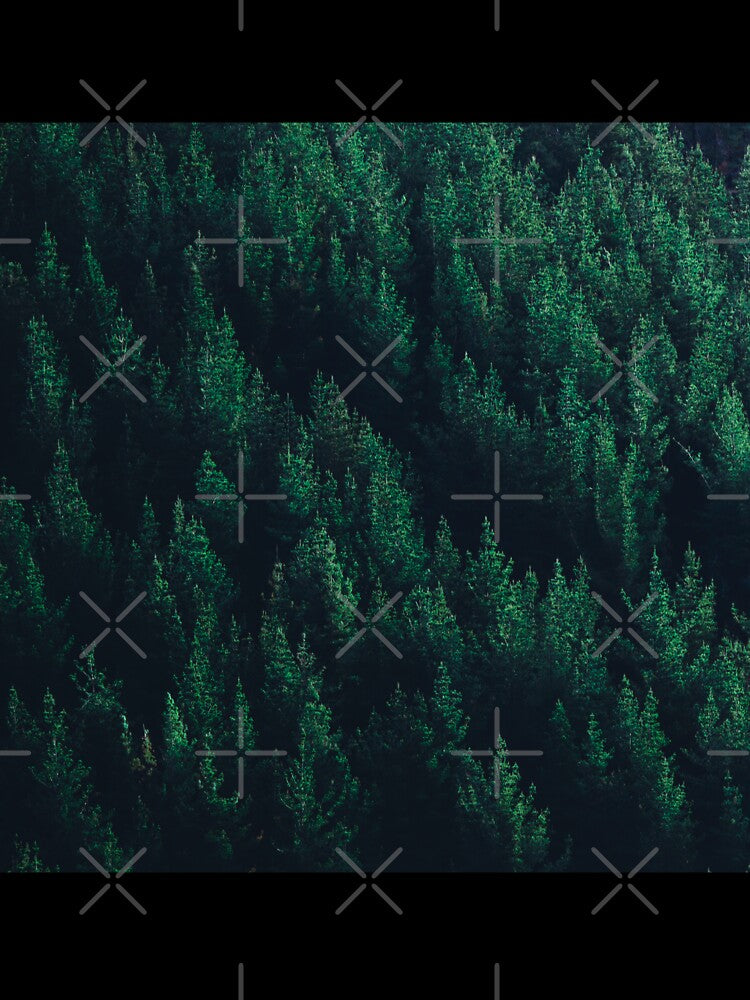 Forest Trees Landscape by ind3finite