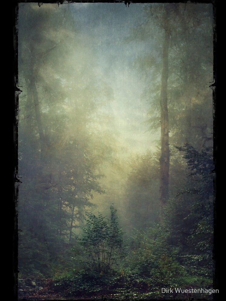 secret domain - misty forest valley by Dyrk Wyst Redbubble Shop