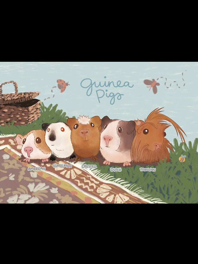 Guinea Pig Picnic by Brittany Hefren