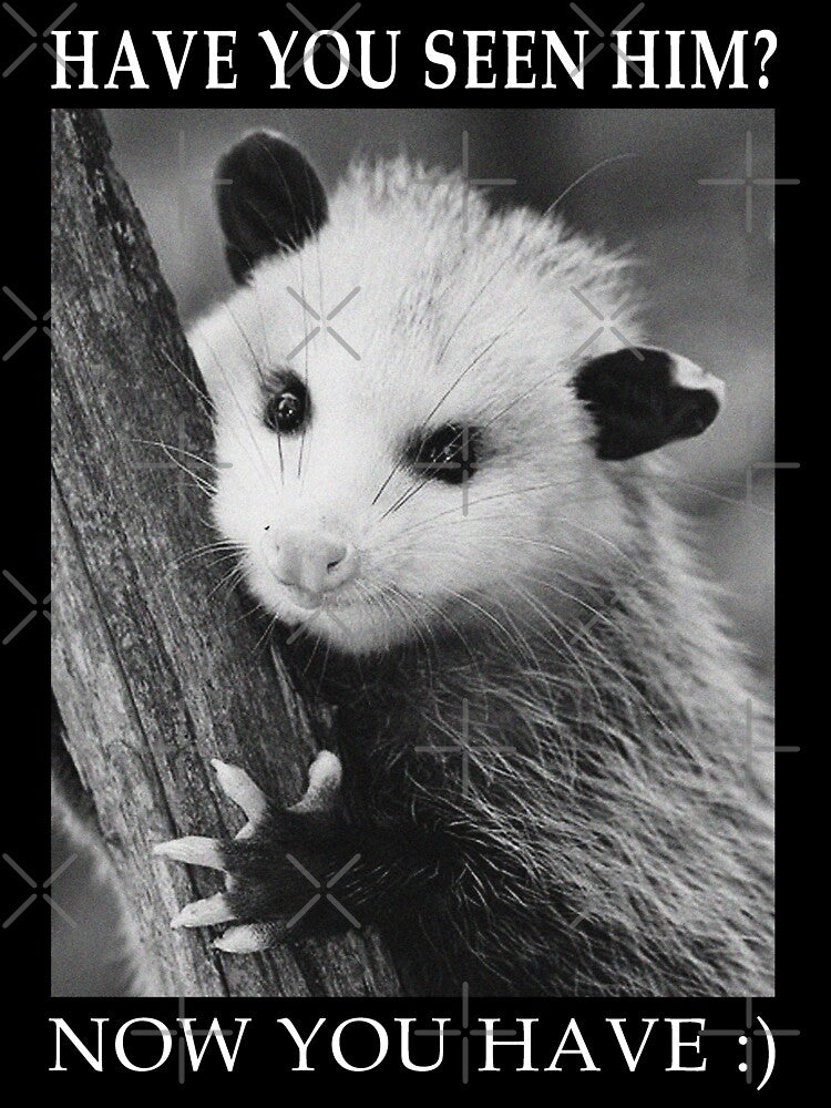 have you seen him? now you have :) possum by BattleGoat