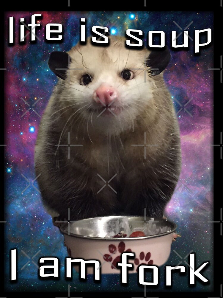 Life is soup - i am fork possum by BattleGoat