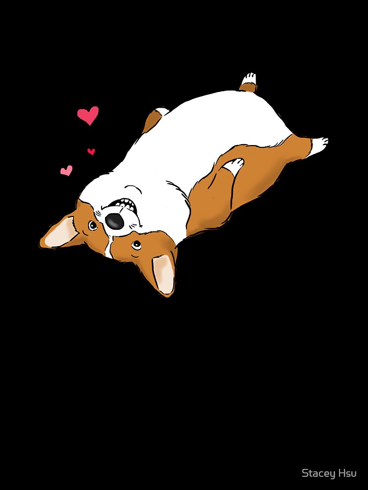 Playful Corgi, Funny Corgi, Corgi Belly by Furkid Studio