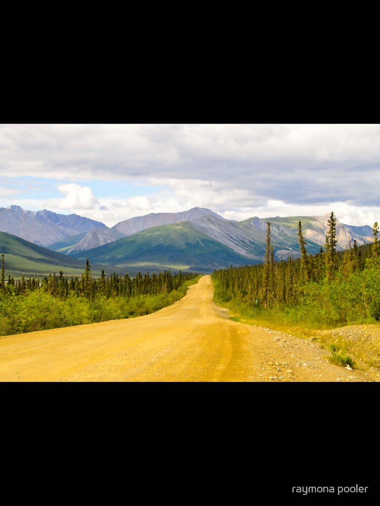 Road leading into the wild by raymona pooler
