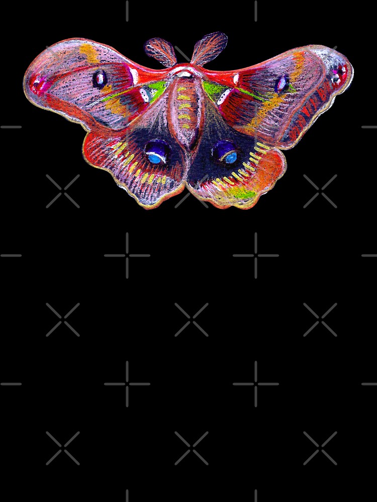 Colorful Moth - Black by Negin Mf Designs