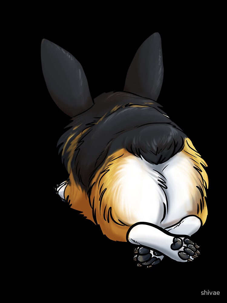 "Fluffy Butt" Corgi by shivae