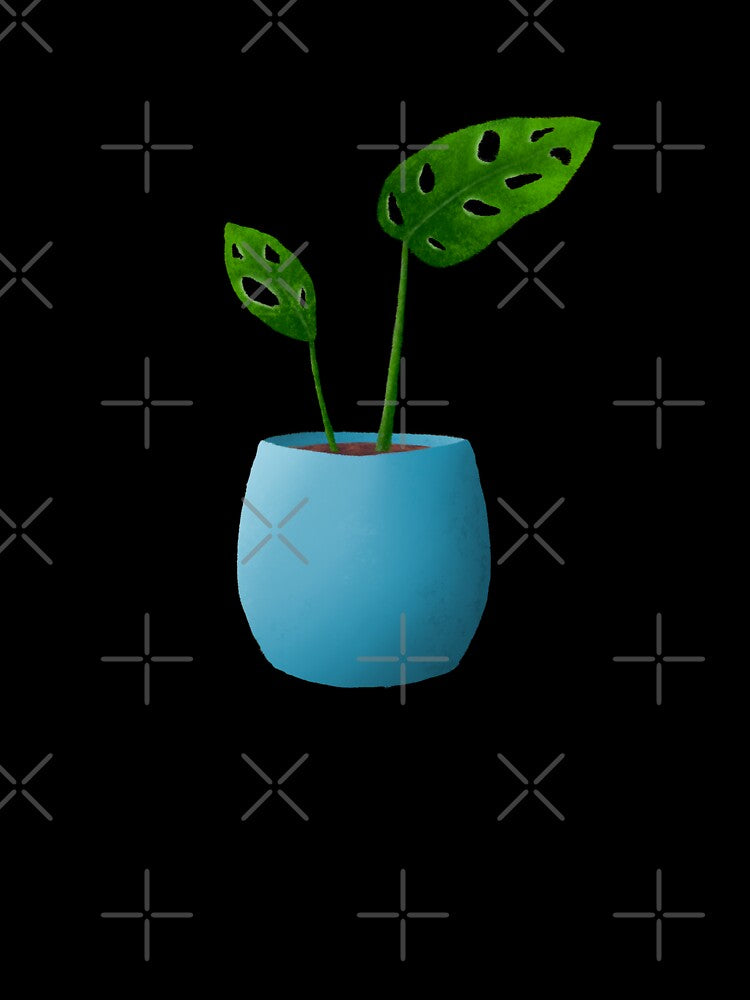 Baby Monstera Adansonii by ColsonC