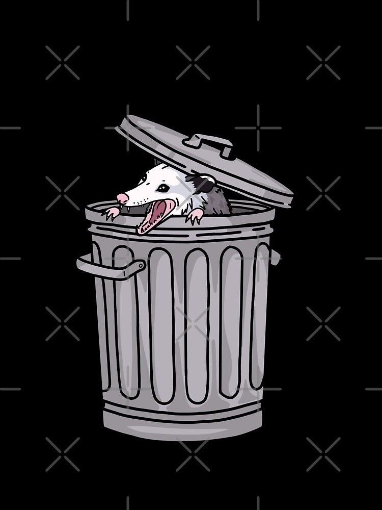 opossum trash cat by Claudia McQuilkin