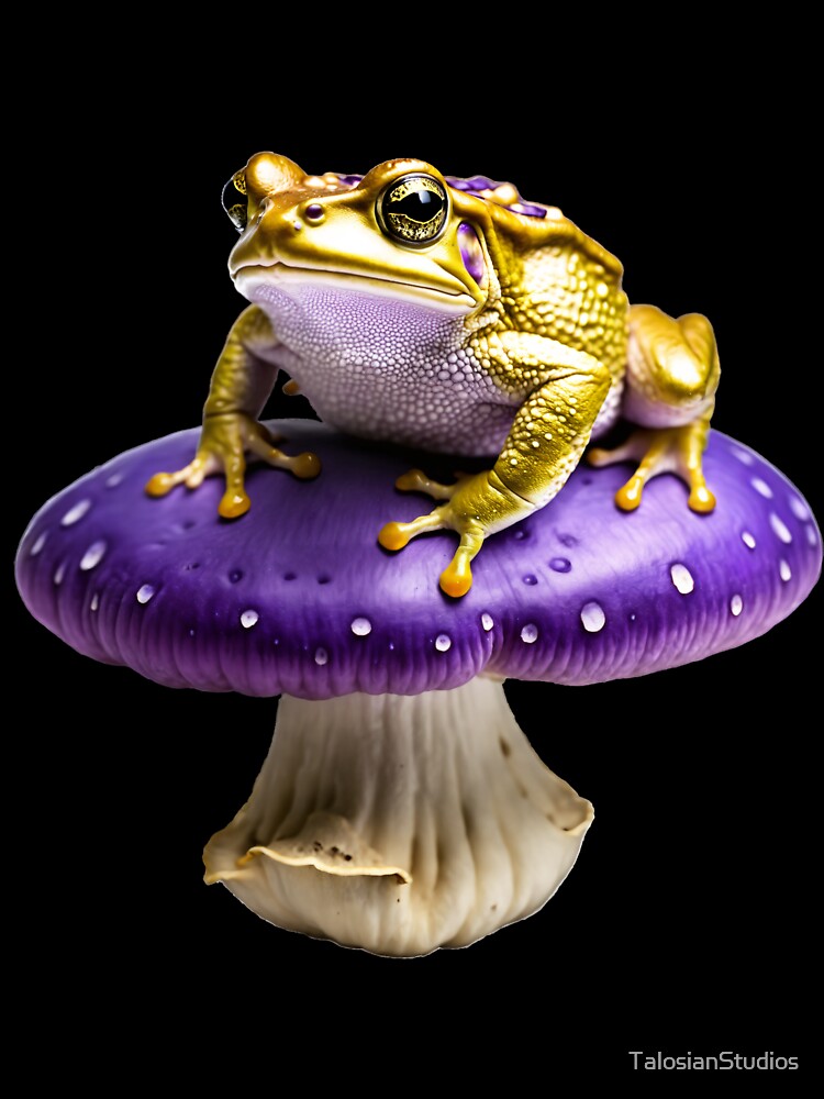 Toad on Mushroom by TalosianStudios