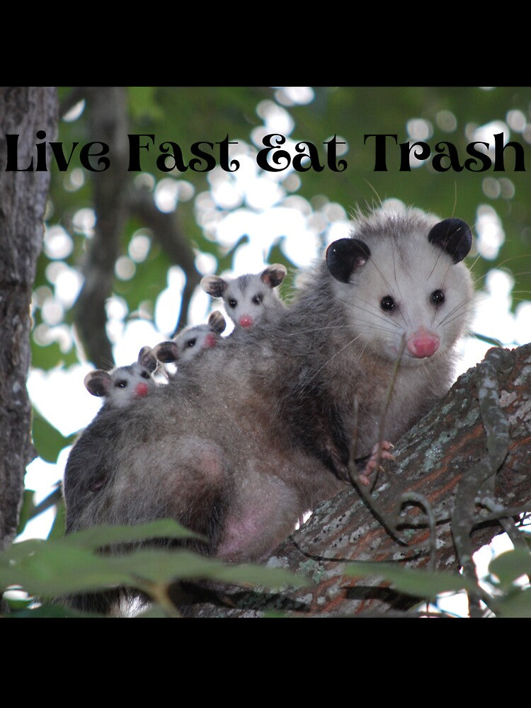 Live Fast Eat Trash by makayla826