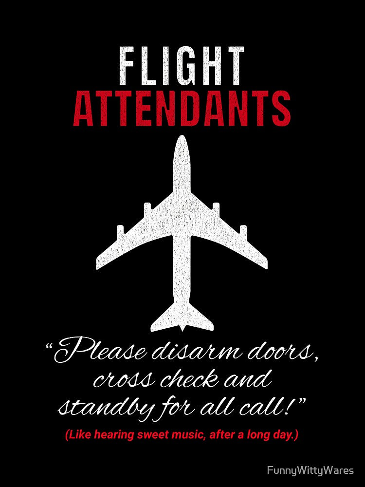 Flight Attendants Disarm Doors, Cross Check & Standby For All Call by FunnyWittyWares