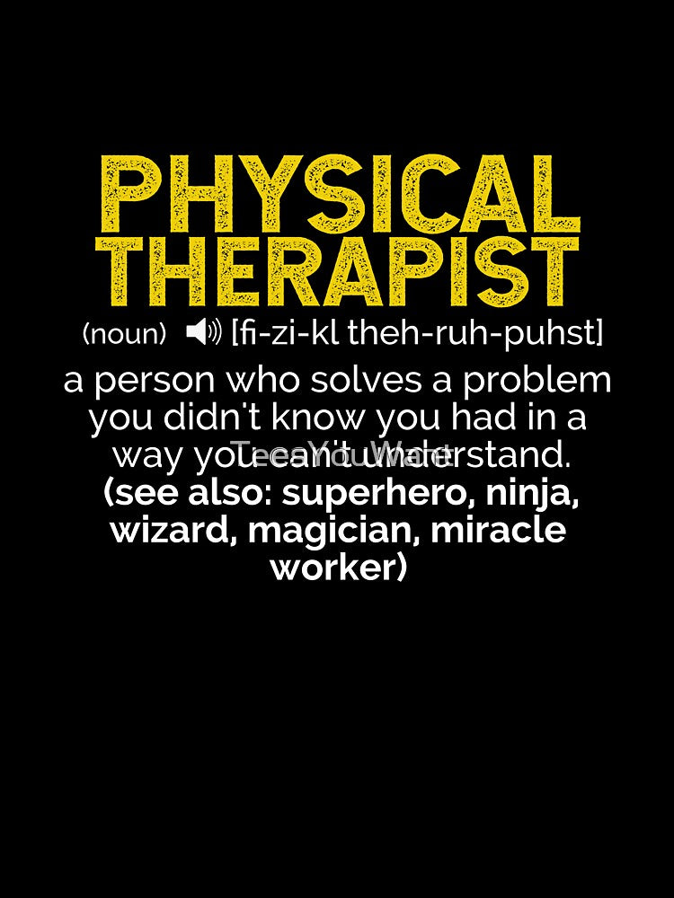 PT Definition ~ A person who solves a problem you didn't know you had in a way you can't understand (see also: superhero, ninja, wizard, miracle worker by TeesYouWant
