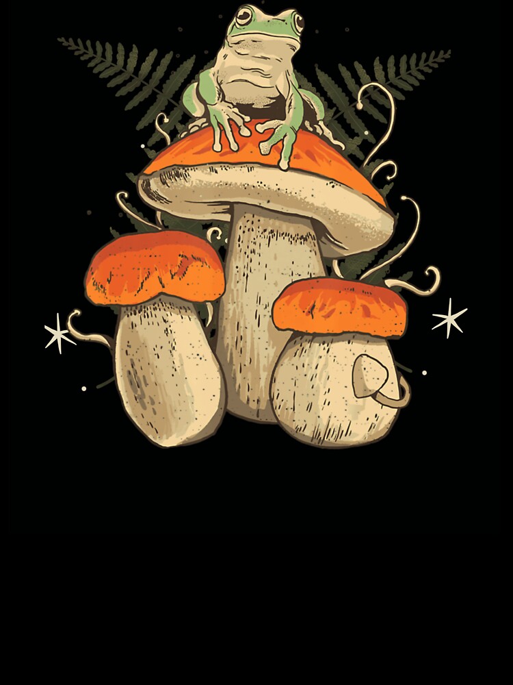 Frog On Mushroom by cklarer