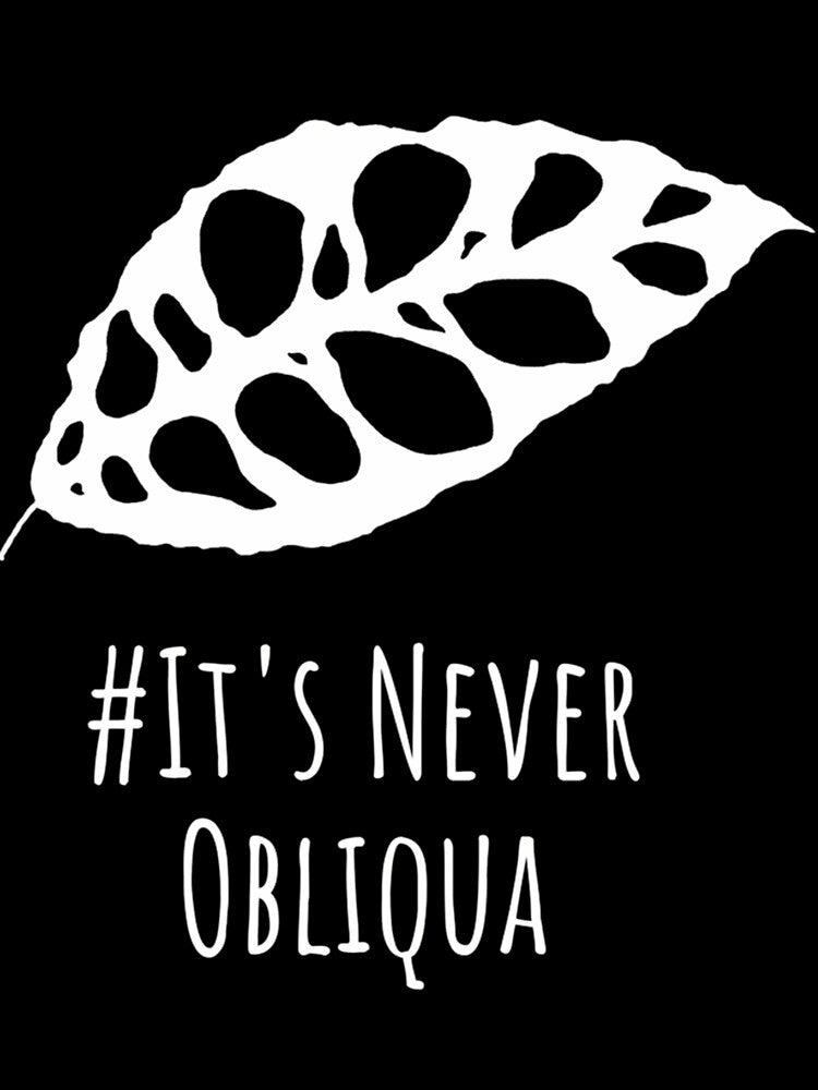 Monstera Obliqua Leaf by uyvcgmiqdyu38