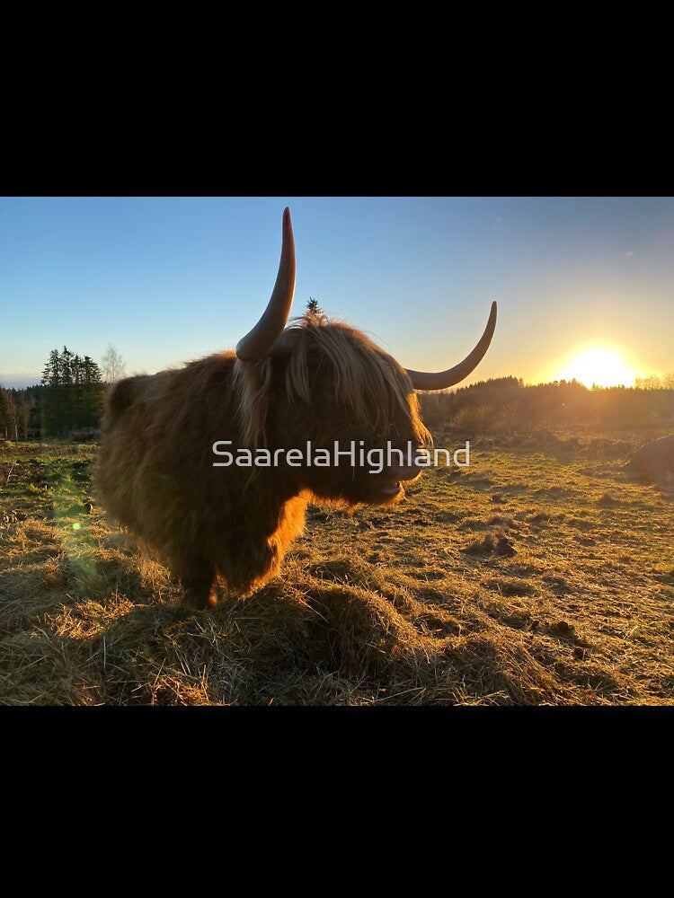 Scottish Highland Cattle Cow 3068 by SaarelaHighland