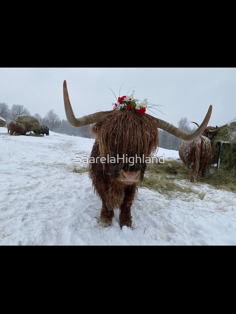 Scottish Highland Cattle Cow 3211 by SaarelaHighland