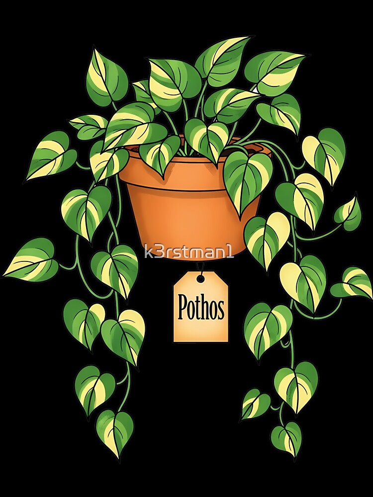 Pothos Variegated Houseplant Plant Parent Design by k3rstman1
