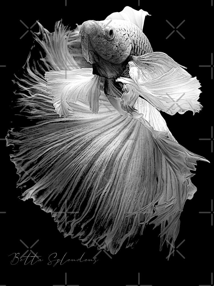 Elegant Betta Fish Black & White Fish Keeper by JRRTs