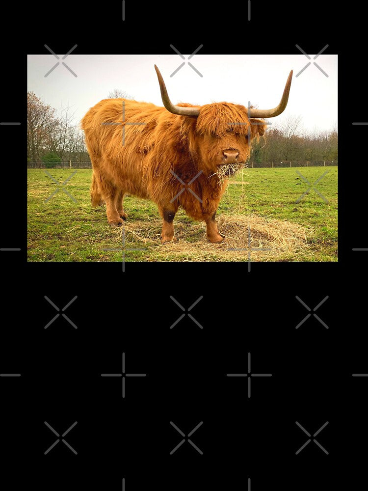 Scottish Highland Cow Picture by TheAnimalZ00