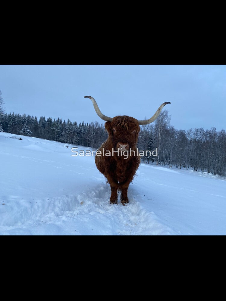 Scottish Highland Cattle Cow 3198 by SaarelaHighland