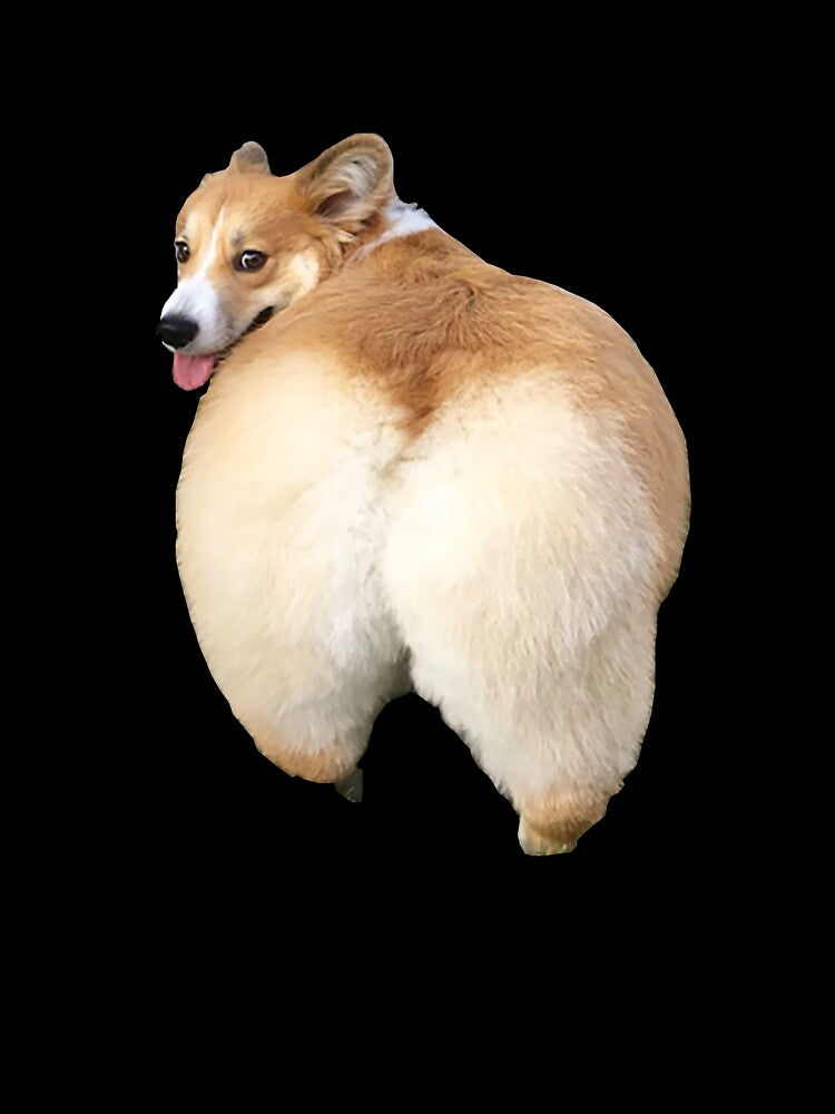 Corgi Butt by StorylineStyle