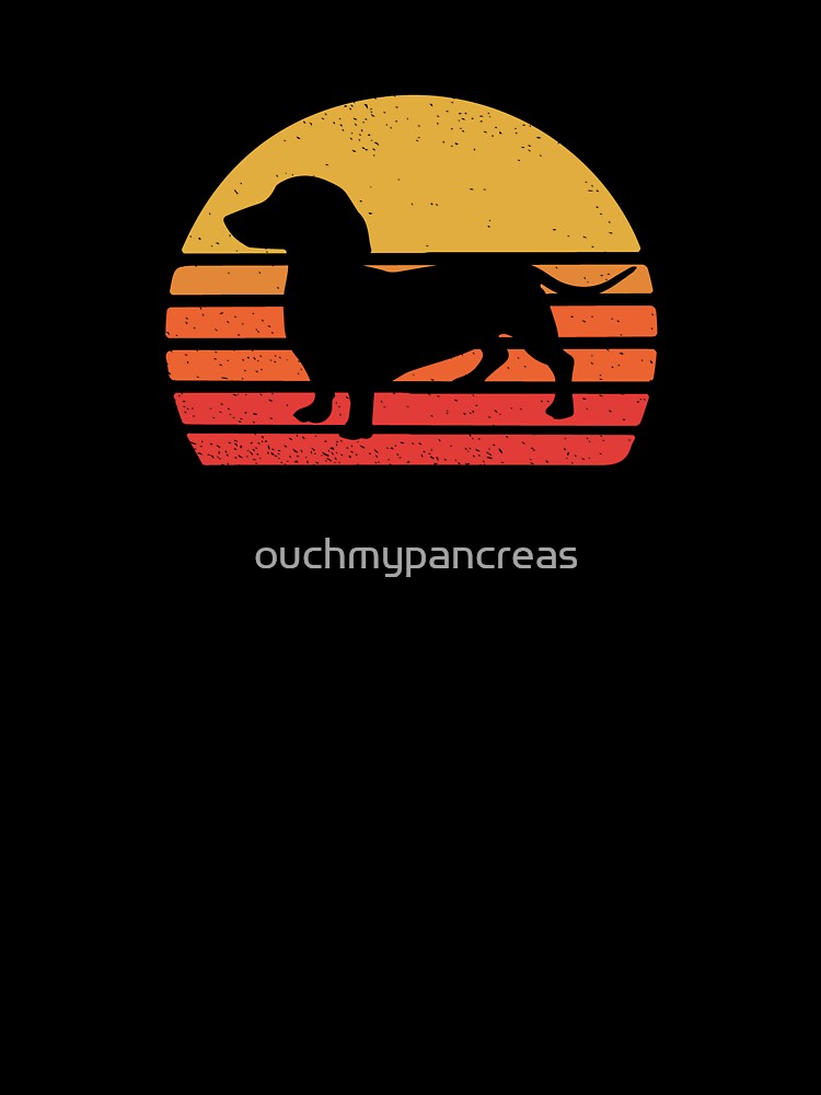 Dachshund by ouchmypancreas