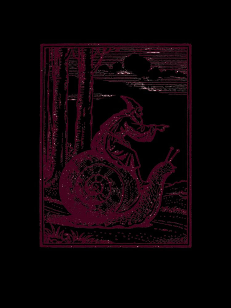 Wizard Riding a Snail Fantasy Illustration by Colorful-Garden