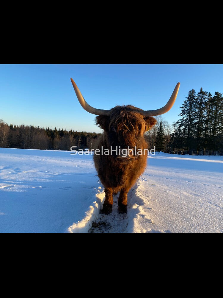 Scottish Highland Cattle Cow 3187 by SaarelaHighland