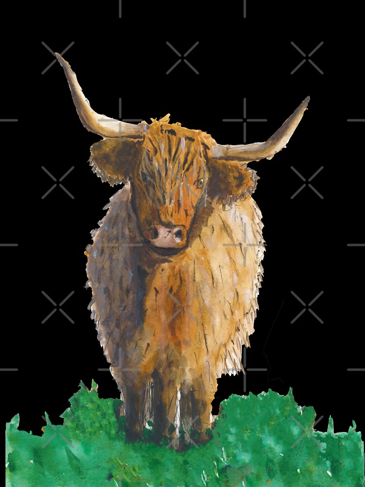 Fluffy highland cow in field by Sam Hill