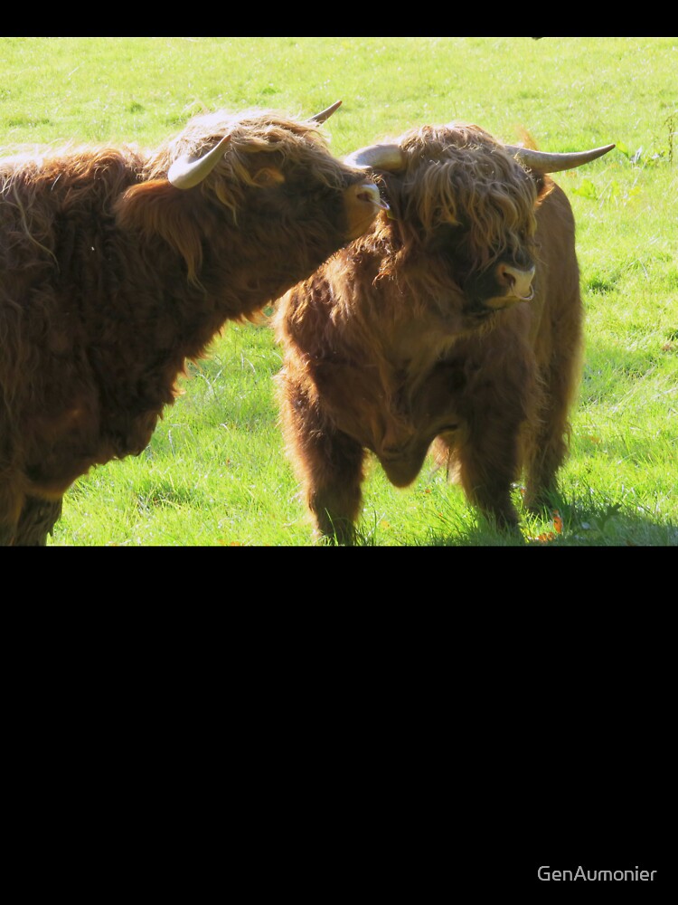 Highland Bulls - Photograph by GenAumonier