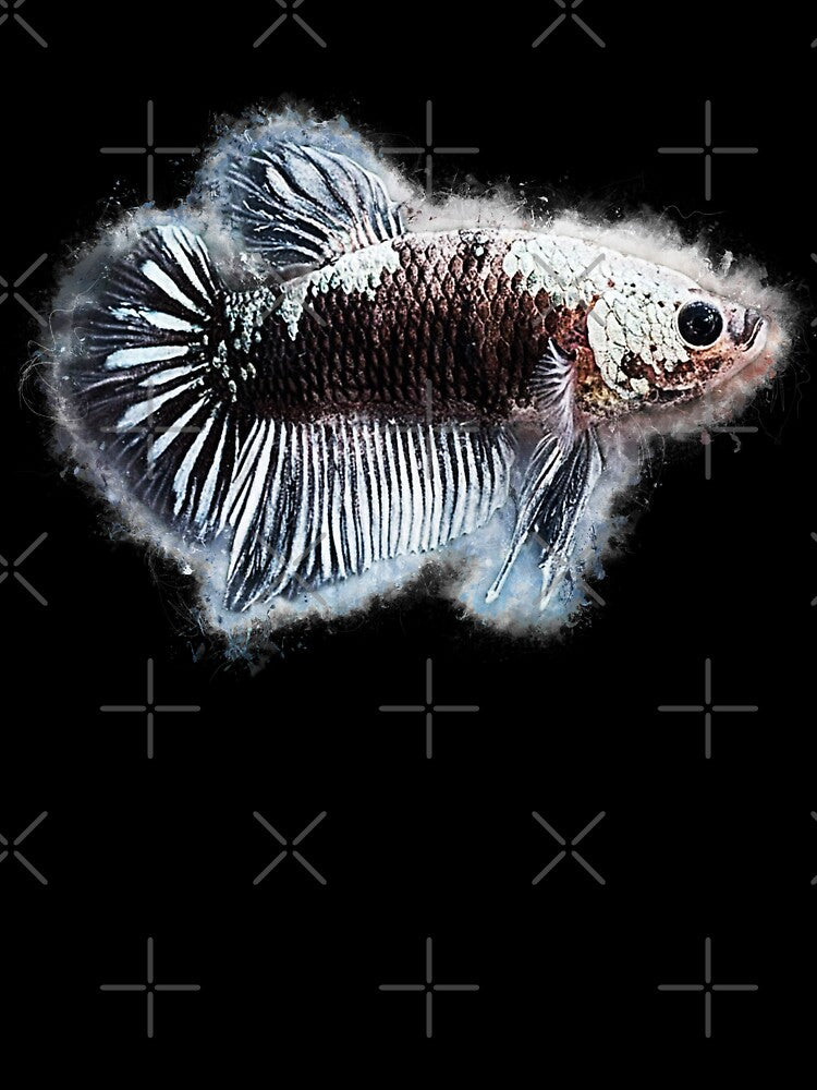 Black Samurai fighting fish by AquariumLutter