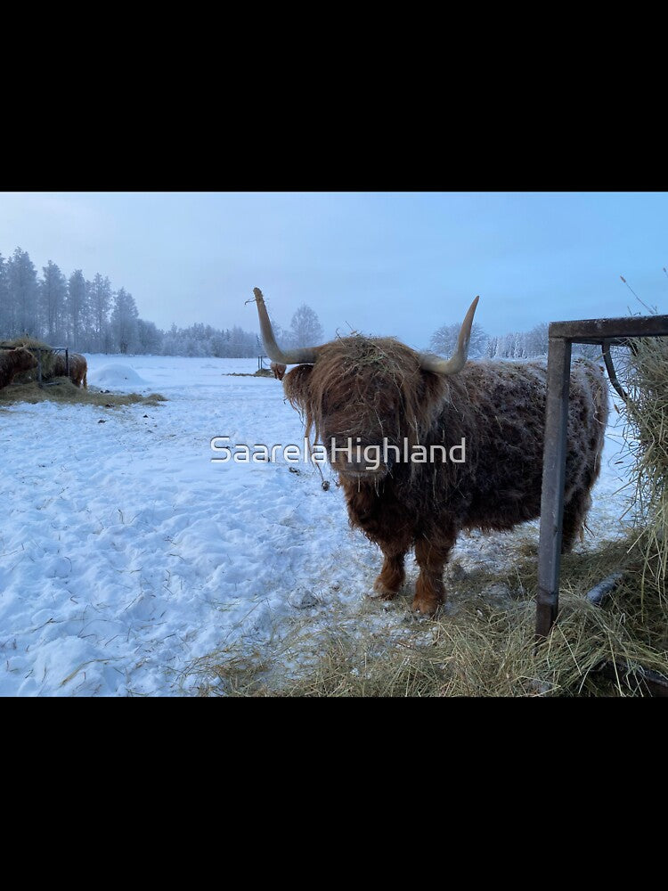 Scottish Highland Cattle Cow 3160 by SaarelaHighland