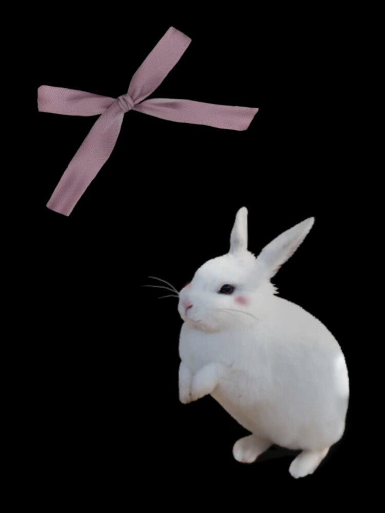 Coquette bunny and pink ribbon bow by Pixiedrop