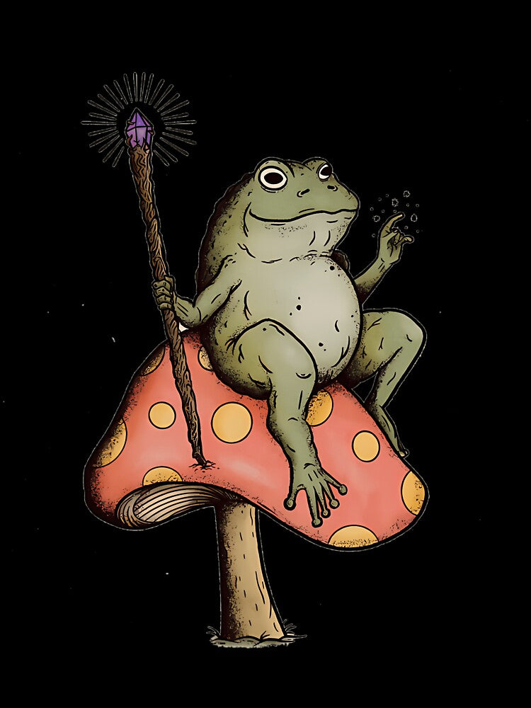 Magical Wizard Frog on Mushroom by brelihebanac
