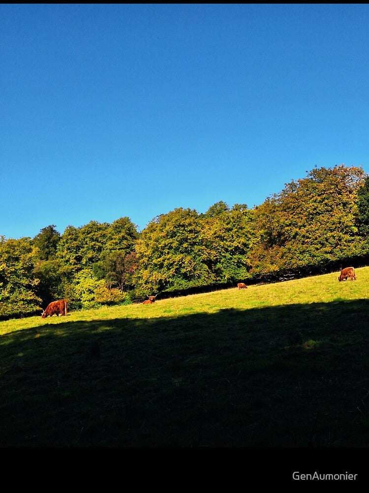 Highland Cows on the Hill - Photograph by GenAumonier