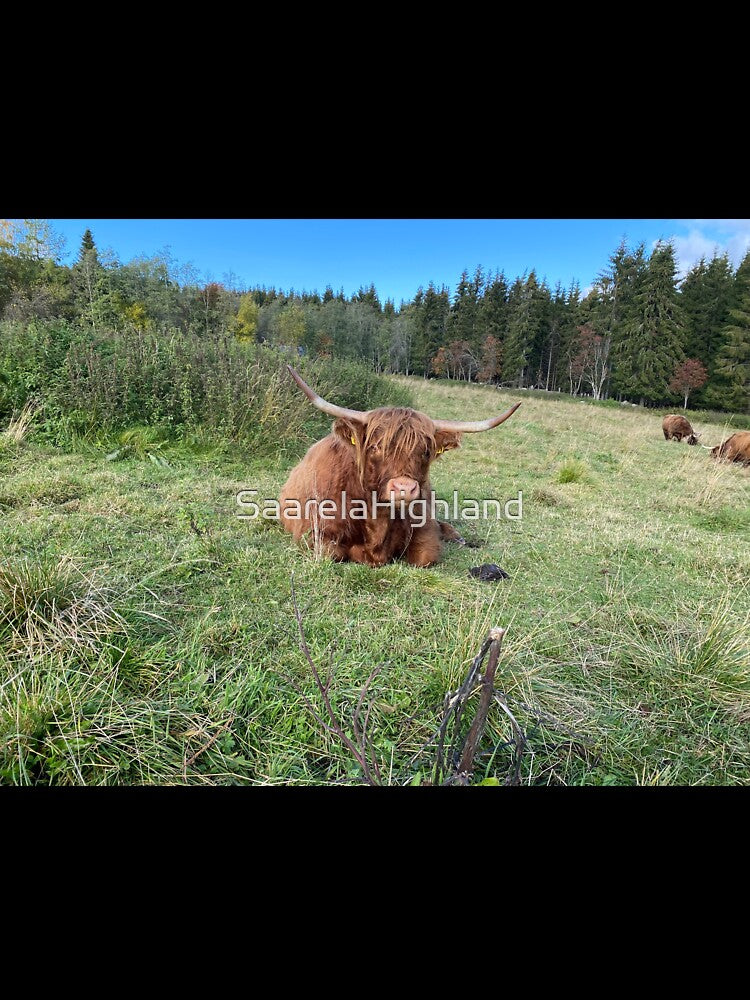 Scottish Highland Cattle Cow 2999 by SaarelaHighland
