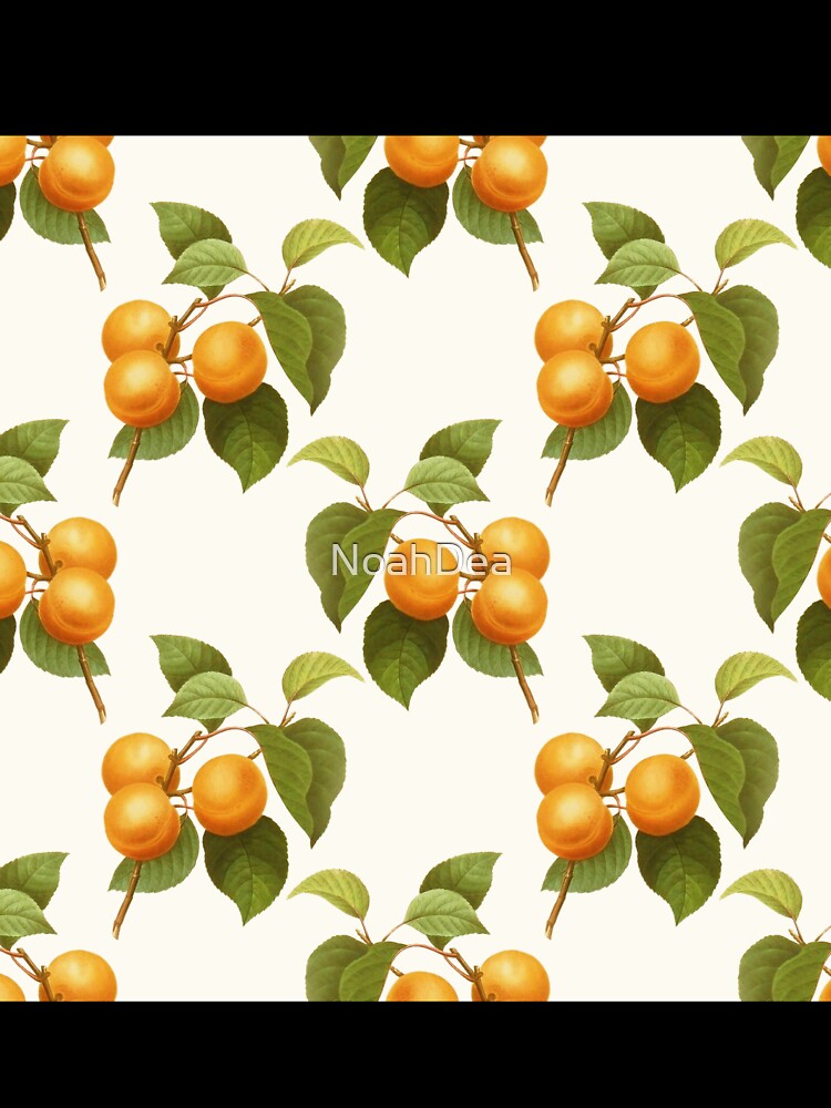 Apricot summer vintage design by NoahDea