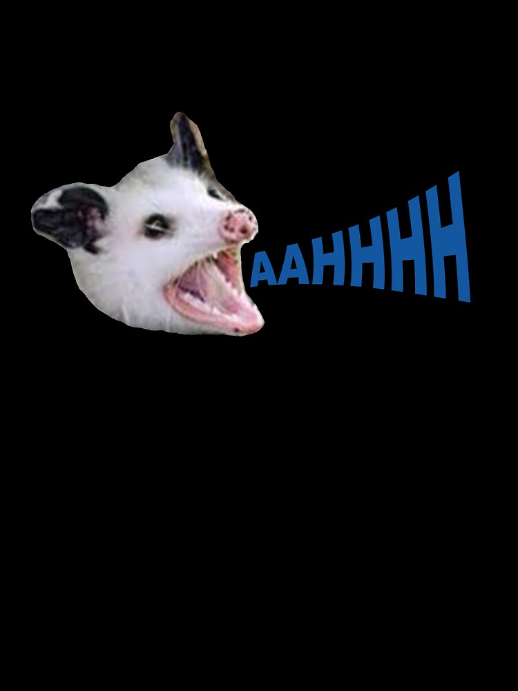 Opossum AAHHHHHH by marykatebuckman