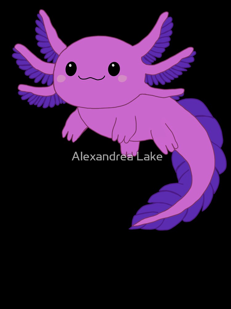 Cute Axolotl by Alexandrea Lake
